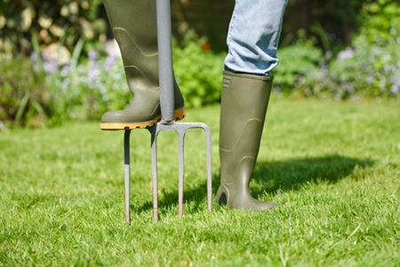 Lawn Aeration for a Healthier, Greener Lawn Thumbnail