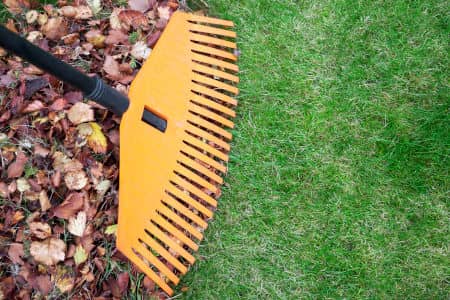 Professional Leaf Removal for a Healthier Lawn and Neater Yard Thumbnail