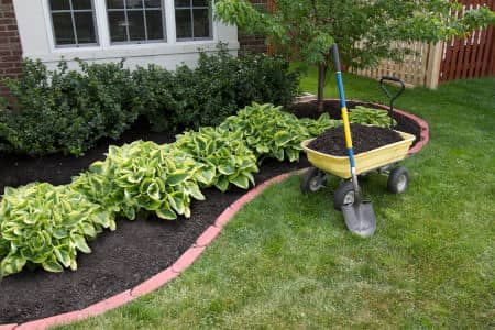 Lawn fertilization