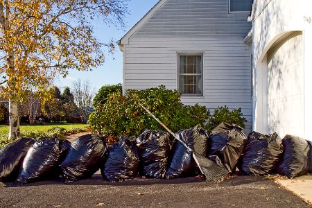 Yard Cleanups